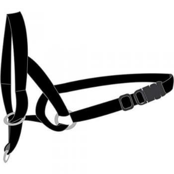 FLAMINGO Jouet Balle : 2 x Power en Caoutchouc Ø 22 cm