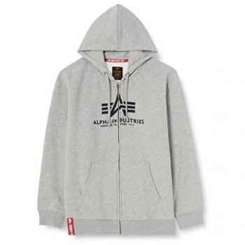 Kapuzensweatshirt Alpha Industries Grau