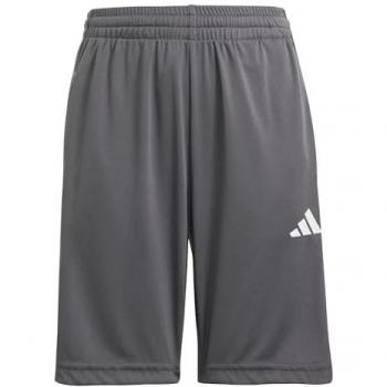 Shorts adidas JJ1039 pour Enfants - Gris