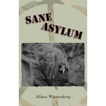 Sane Asylum
