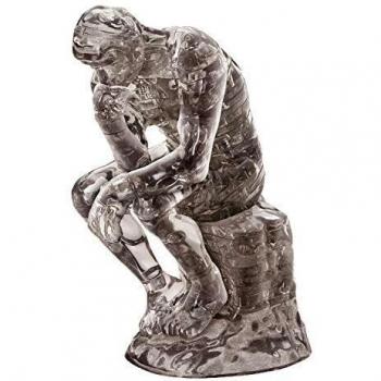 HCM Thinker's Puzzle