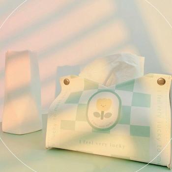 Boîte étanche pour serviettes Kawaii