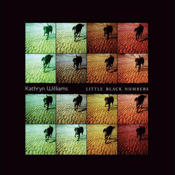 Little Black Numbers VINYL