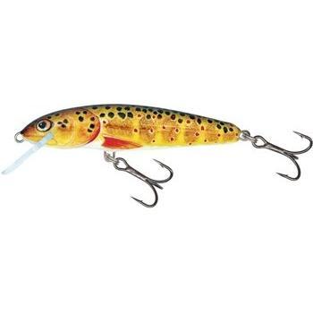 Salmo Minnow Floating Crankbait 7cm 6g Trout Model M7F