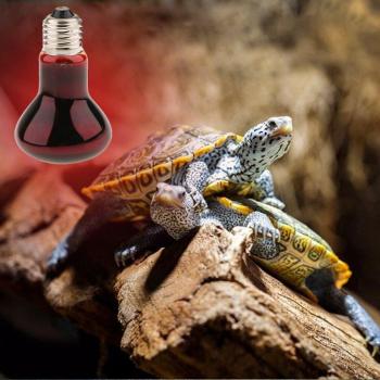 Foco IR Reptil 50W