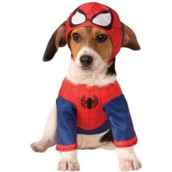 Traje de Perro Spider‑Man L