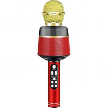 Enregistreur vocal sans fil 5 W