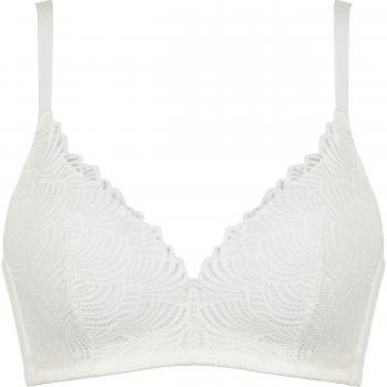 Élégance de coquillage et dentelle satinée