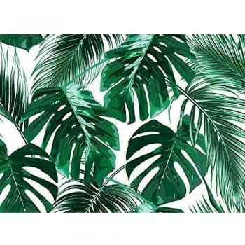 Papier Peint Panoramique Vert Blanc Original Nature Chambre Tropicale