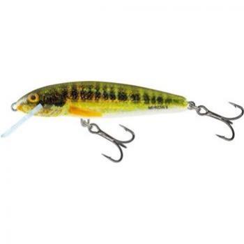Poisson Nageur Salmo - Holo Real Minnow 7cm