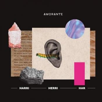 Harri Harri Har - Amorante
