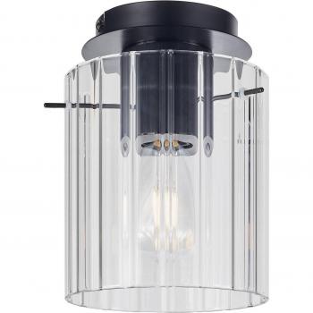 Eirian Dimmable Ceiling Light by Lucande, Clear Metal, 1 Light Source, E27