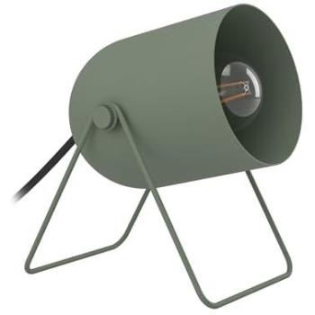 Minimalist Green Steel Desk Light – Female One-Size