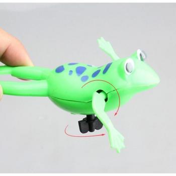 Educational Frog Bath Toy for Kids