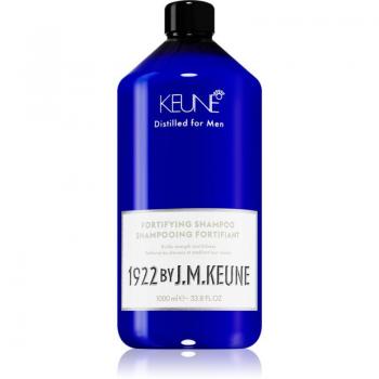 Shampoo Antiqueda Keune 1922 para Homens - 1000ml