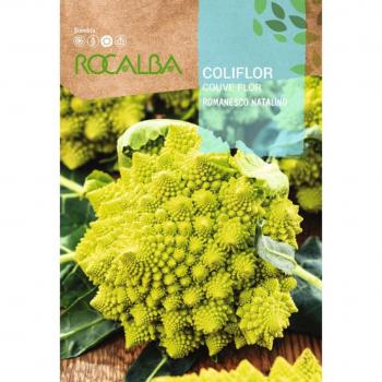 Romanesco Natalino 100G Rocalba