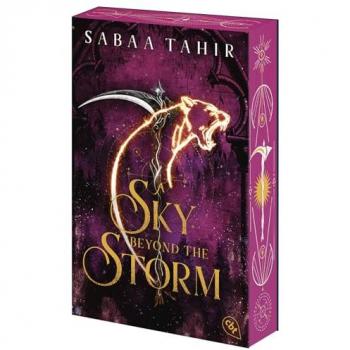 A Sky Beyond the Storm