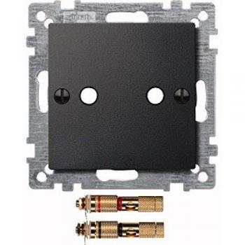 System-Master-Zentrale Merten 469314 – Hochwertige Audioverbindung