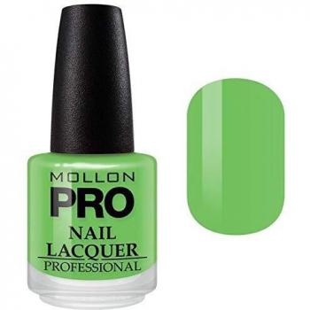 Mollon Pro Nail Lacquer 232 Avignon 15 ml