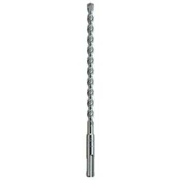 Forêt Hikoki 782452