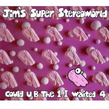 Jim's Super Stereoworld Could U B The 1 I Waited 4 UK CD single NING86CD