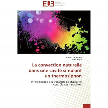 La convection naturelle dans une cavité simulant un thermosiphon: Intensification des transferts de chaleur et contrôle des instabilités (Omn.Univ.Europ.)