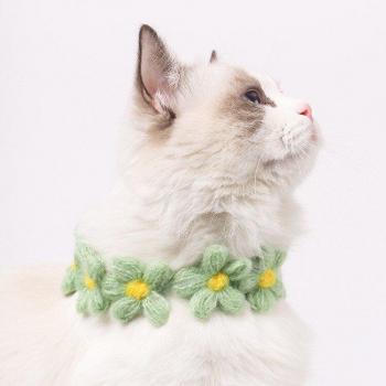 Collier réglable pour chat