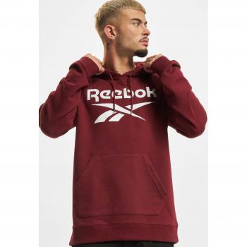 Sudadera con Capucha Reebok RI FT OTH Gris