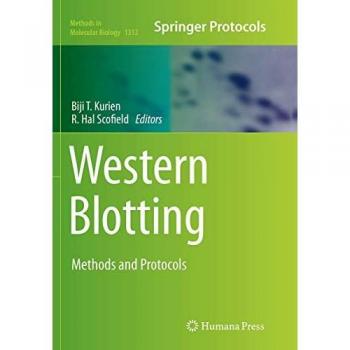 Western Blotting: Methods and Protocols (Methods in Molecular Biology, 1312, Band 1312)