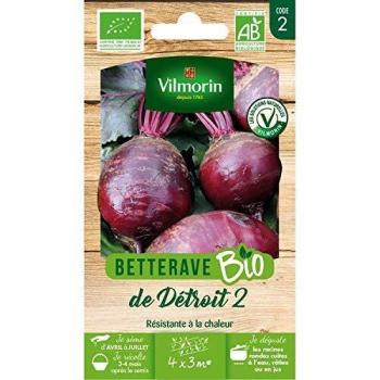 Betterave Potagère Detroit 2 – BIO (Vilmorin)