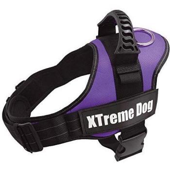 Arnés Xtreme Dog Lila para perros medianos - Talla:M/61-81cm