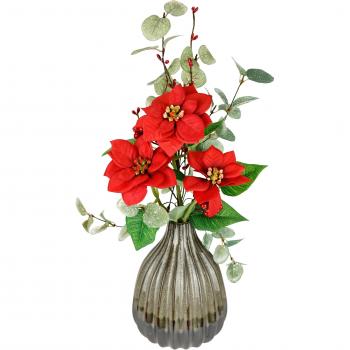 Eukalyptus-Pflanzenarrangement mit Christstern