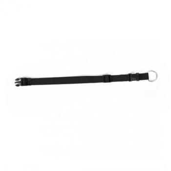 Duvoplus Hundehalsband & Leine – 3,5 cm verstellbar aus Nylon