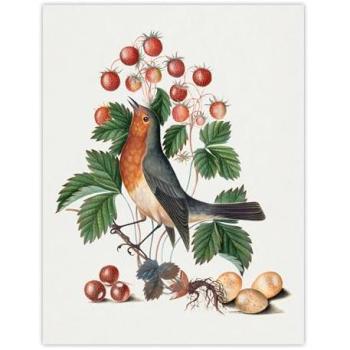 Bird & Berry Landscape Poster – 18×24 inches, White Background