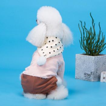 Mono con capucha para perros pequeños y medianos