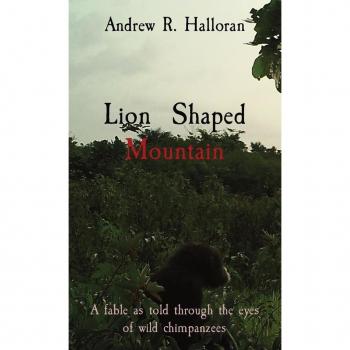 Lion Shaped Mountain