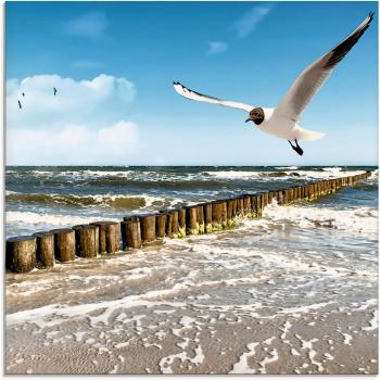 Artland Glasbild »Ostsee« Küstenblick