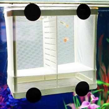 Incubadora de Peces Cola‑Malla