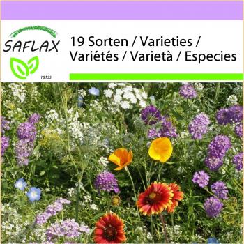 SAFLAX - Refuge des insectes - 1000 graines - Mélange floral