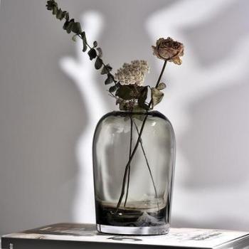 INS Glass Flower Vase for Living Room