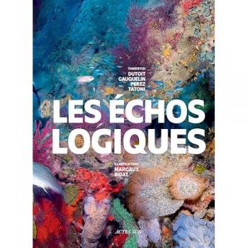 Les Echos logiques