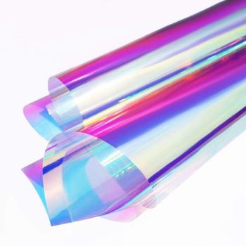Vinilo de Vidrio 2mil Camaleón para Oficina