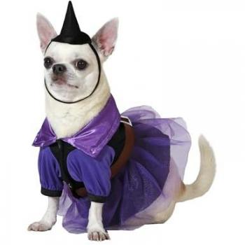 Disfraz de Bruja morada con sombrero para perro