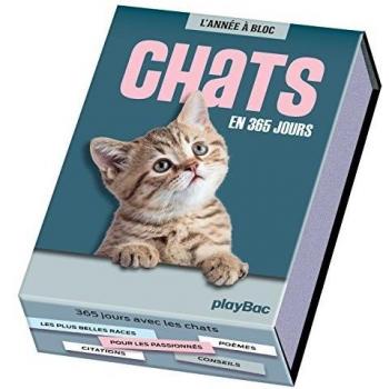 Chats : en 365 jours