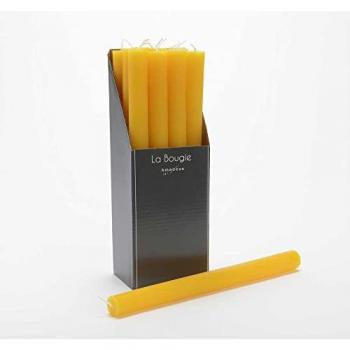 Bougie flambeau 25 cm - Amadeus (12 pièces)