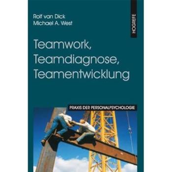 Teamwork, Teamdiagnose, Teamentwicklung | Rolf van Dick | Buch