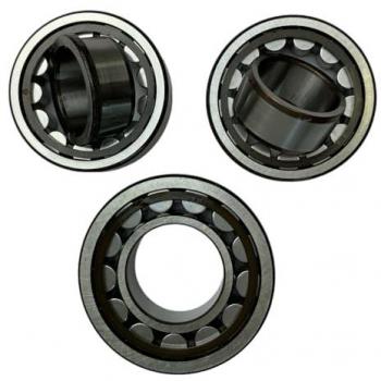 Cuscinetto orientabile a rulli 21314 K.E1