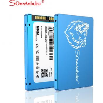 SOMNAMBULIST Metal Big Brown Bear SSD 240GB