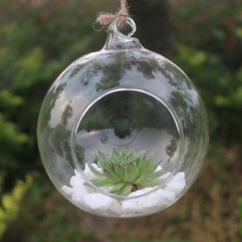 Terrarium Hängedekoration aus Glas