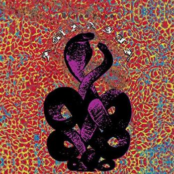 Amanita - Vinilos Púrpura Edición Deluxe (2 LP)